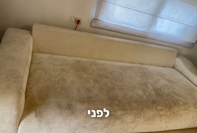 ריח של כלב בספה: איך נפטרים ממנו באמת